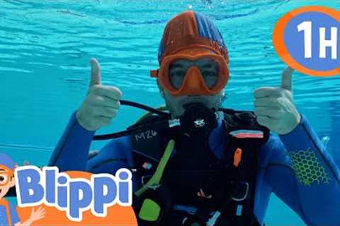 SD Scuba Diving | Blippi | Kids Songs | Moonbug Kids