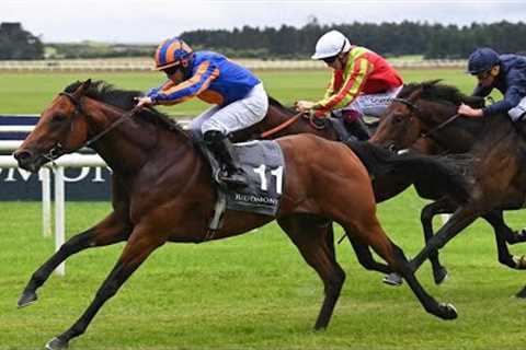Aidan O'Brien's THE LION IN WINTER creates big impression on debut at the Curragh 👀