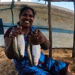 Fish Catching And Cooking In Beach I Cast Netting And Catching Mullet Fish To Cook Delicious Curry