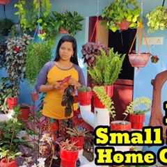 Small Space Home Garden Tour | Gardening Ideas Using Bottles | DIY Garden | Hanging Plants