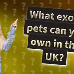 What exotic pets can you own in the UK?