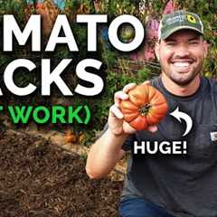 9 Tomato Growing Tips (That Actually Work)