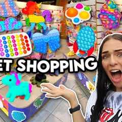 Fidget Toy Shopping at The Mall!🤑💰*Extreme NO BUDGET Challenge*