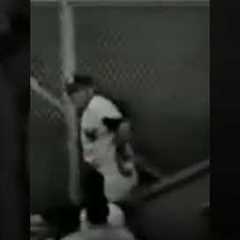 1961 Roger Maris Home Run 54