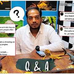 QnA On Exotic Pets | Is Keeping Exotic Pets In India Illigal !!? | Reply To All The Quires.. #india