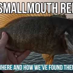 Lake St Clair Smallmouth Bass Fishing Report