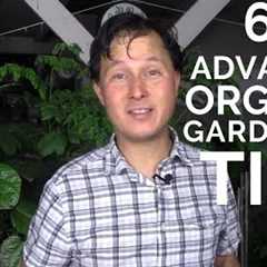 63 Advanced Organic Gardening Tips to Have the Best Vegetable Garden