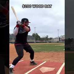 $50 Wood Bat vs. $300 Wood Bat #baseball