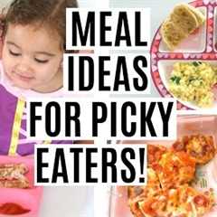 WHAT MY TODDLER EATS IN A DAY | TODDLER MEAL IDEAS FOR PICKY EATERS!