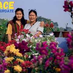 Terrace Garden in Nepal and Terrace Garden Ideas for Home I Nepali Gardening Tips