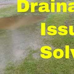 Easy Way to Fix Standing Water in Yard - See the Results