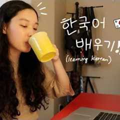 LEARN KOREAN: How to study Korean | not really studying with nina!