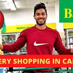 * GROCERY SHOPPING IN CANADA * || FOOD BASICS VLOG || INTERNATIONAL STUDENT! 🇨🇦