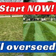 Lawn Overseeding In Fall: How YOU Can Transform Your Lawn!!