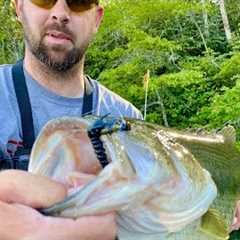 BIG BASS ALERT!!!  Fishing a Small Lake was Surprising