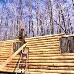 Solo Building A Big Log Cabin From My Land: Done With Eave Logs