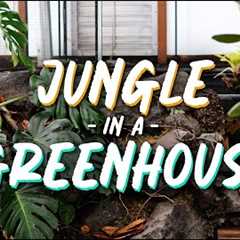 Turning Our Greenhouse Into a Jungle!