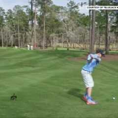 A brave boy hits a hole-in-one in front of Tiger Woods