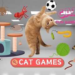 CATS GAME - Collection Of Insects And Funny Games - CAT TV 🐛🐤🐟🕷🍟🦜🦋🐞🍬🍗