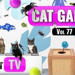 CAT Games | Ultimate Cat TV Compilation Vol 77 | 3 HOURS  🐝🐞🦋🦎🦜🐜🐭🧵