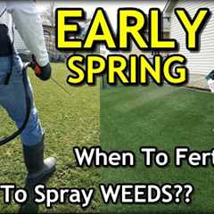 When To Start FERTILIZING or SPRAYING in Spring // Early Spring Lawn Tips