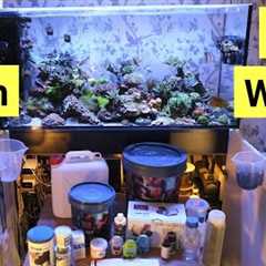 Watch This Before You Get A Saltwater Aquarium | FULL Maintenance Rundown