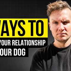 5 Things ALL Dog Owners Do To Ruin Their Dog- Dog Training Video