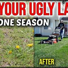 Fix An Ugly Lawn In ONE SEASON Without Seeding Or Overseeding