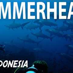 Remote Island Diving Indonesia | Searching for Hammerheads | Banda Neira |  Scuba Liveaboard