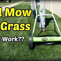 Reel Mowing Tall Grass?