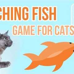 Games for Cats - Catching Fish (best on an iPhone screen/an iPad)