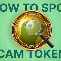 How To Avoid Crypto Scams? Rug Pull, Honeypot Scams Explained