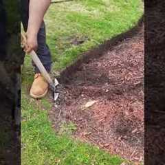 Spade edging in a mulch bed.  Precision work from Francis son.