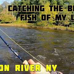 Fly Fishing for the Strongest Fish Of My Life! Salmon Fishing the Douglaston Salmon Run, Pulaski NY