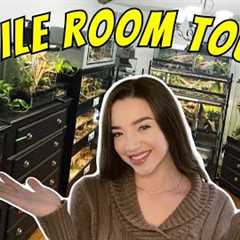 REPTILE ROOM TOUR - Snakes, Lizards, Spiders & More!