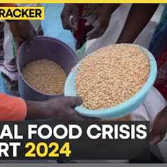 Global Food Crisis 2024 report: 1 in 5 people in need of urgent action | WION Climate Tracker