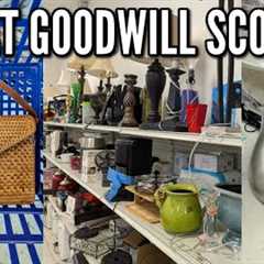 IT'S COMING HOME WITH ME! | GOODWILL THRIFT SHOPPING & HAUL | THRIFTING IN 2024