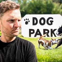 5 Major reasons why dog parks are dangerous- Dog Training Tips