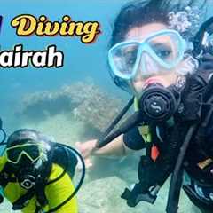 Scuba Diving in Fujairah Dibba Rock || Adventure Vlog || PARADISE BLUE DIVINGCENTER