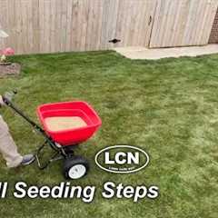 FALL LAWN SEEDING // Step By Step with the Yard Mastery Seeding Support Pack