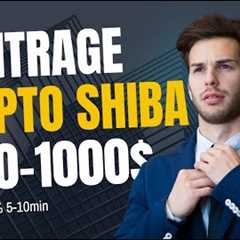 Earn $9750 a Month Using This Crypto Arbitrage Shiba Hack