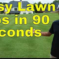 How to GET GREEN GRASS - EASY Lawn Care TIPS For BEGINNERS