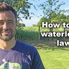 How to fix a waterlogged lawn