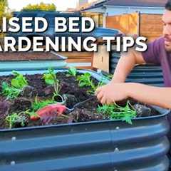 8 Of My BEST Raised Bed Gardening Tips