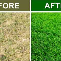 9 Secrets To Keep Your Lawn Green and Healthy