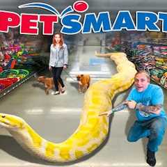 TAKING MY GIANT SNAKE TO PETSMART!