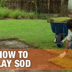 Laying Sod & How to Prepare Soil For Sod | The Home Depot