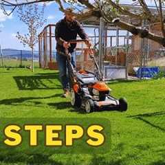 All 10 Spring Lawn Care Steps // In Order