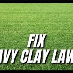 A potential fix for HEAVY CLAY LAWNS (particularly in new build properties)