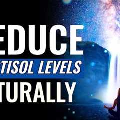 Reduce Cortisol Levels Naturally | Stress Reduction Music Therapy | Brain Calming Sound Vibrations